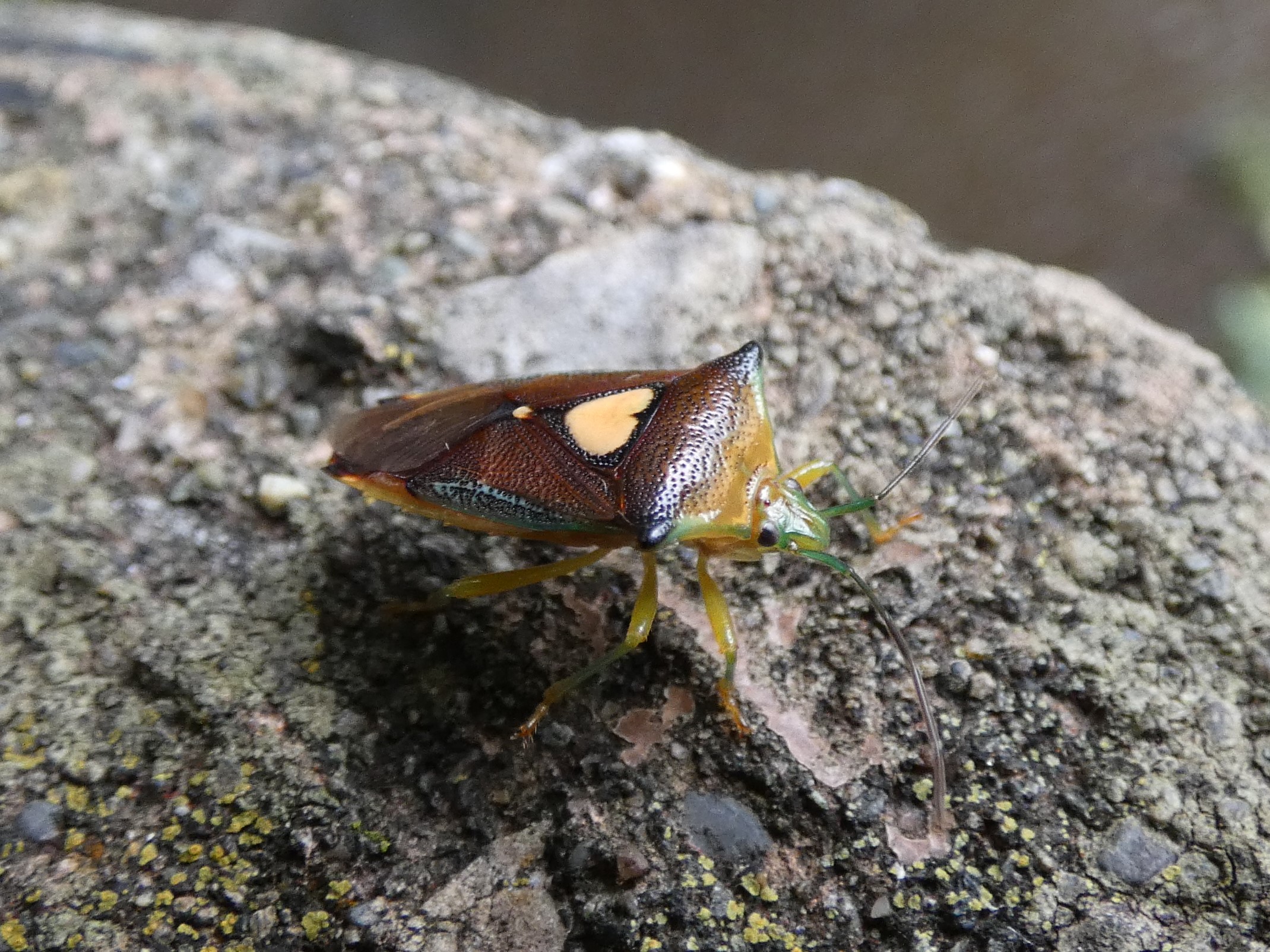 photo_6